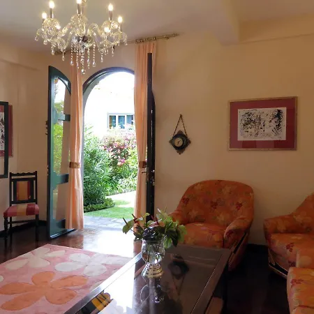 Erika Madeira カニコ