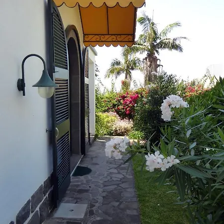 Apartamento Erika Madeira