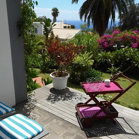 Erika Madeira 卡尼索