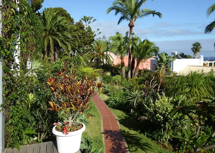 Erika Madeira 公寓 *