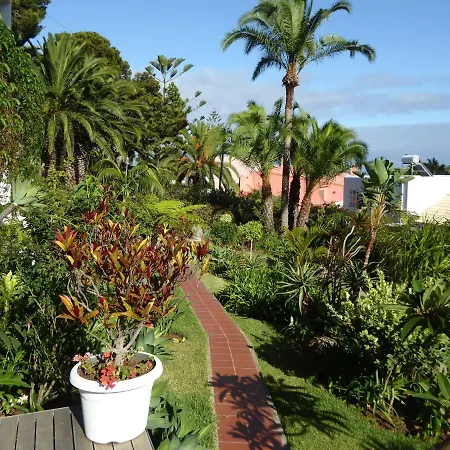 Erika Madeira شقة *