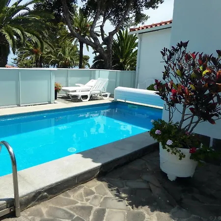 Erika Madeira كانيكو