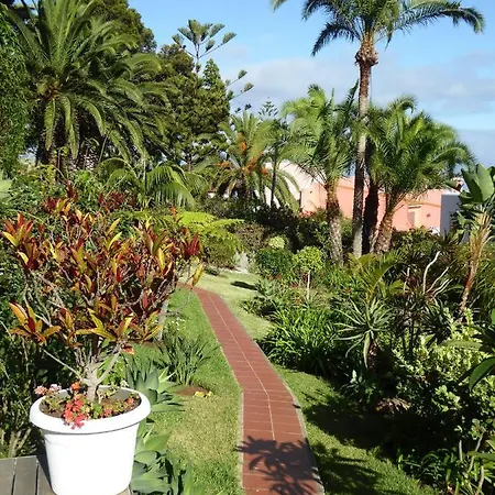 Erika Madeira كانيكو