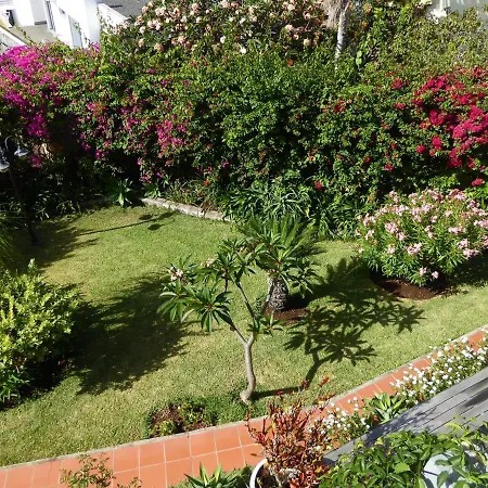 Apartamento Erika Madeira