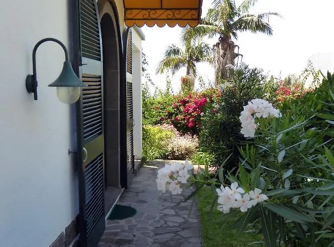 Apartmán Erika Madeira