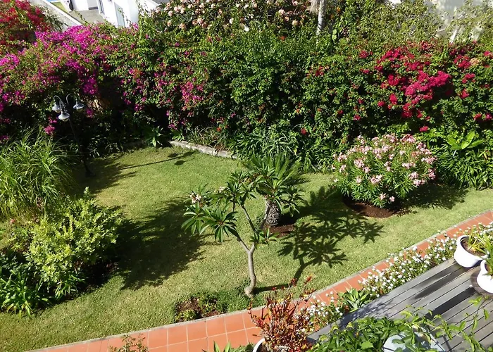 Apartmán Erika Madeira